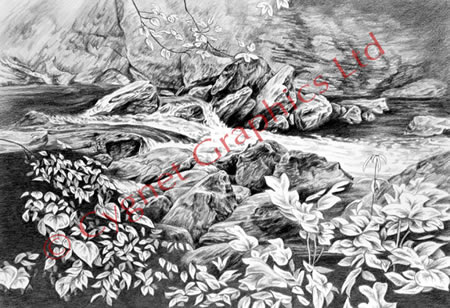 Landscape illustration of creek or river