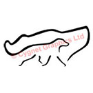 Dog Head Body Combo Vector Logo
