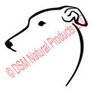 Racing Greyhound Dogs Logo