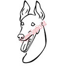Smiling Greyhound Vector Art
