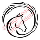 Horse Head Energy Circle Vector Logo