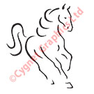 Vector Front Angle Horse Logo