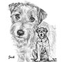 Jack Russell Terrier Dog Portrait