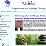 Vahila Acupuncture and Massage Therapy