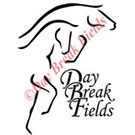 Dressage Jumper Vector Logo